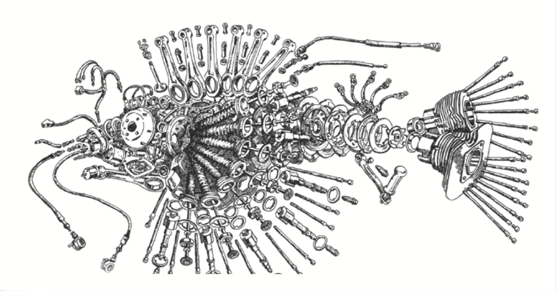Dessin de François Bouët ©Véronique Longuiers
