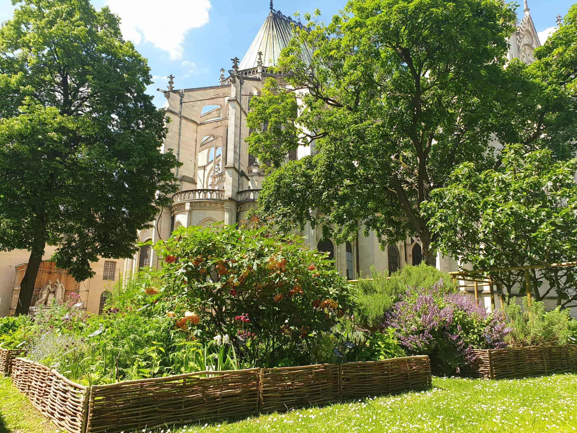Photo jardin basilique