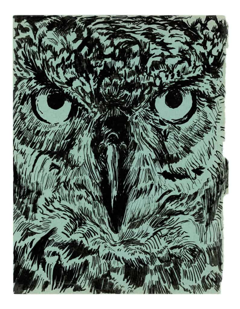 AS AN OWL IN THE DAYLIGHT - 2023, encre de Chine sur papier, série en cours, 22,5 x 17 cm chacun