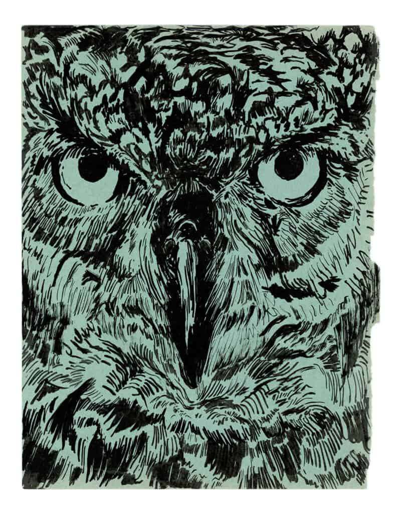 Unknown AS AN OWL IN THE DAYLIGHT - 2023, encre de Chine sur papier, série en cours, 22,5 x 17 cm chacun